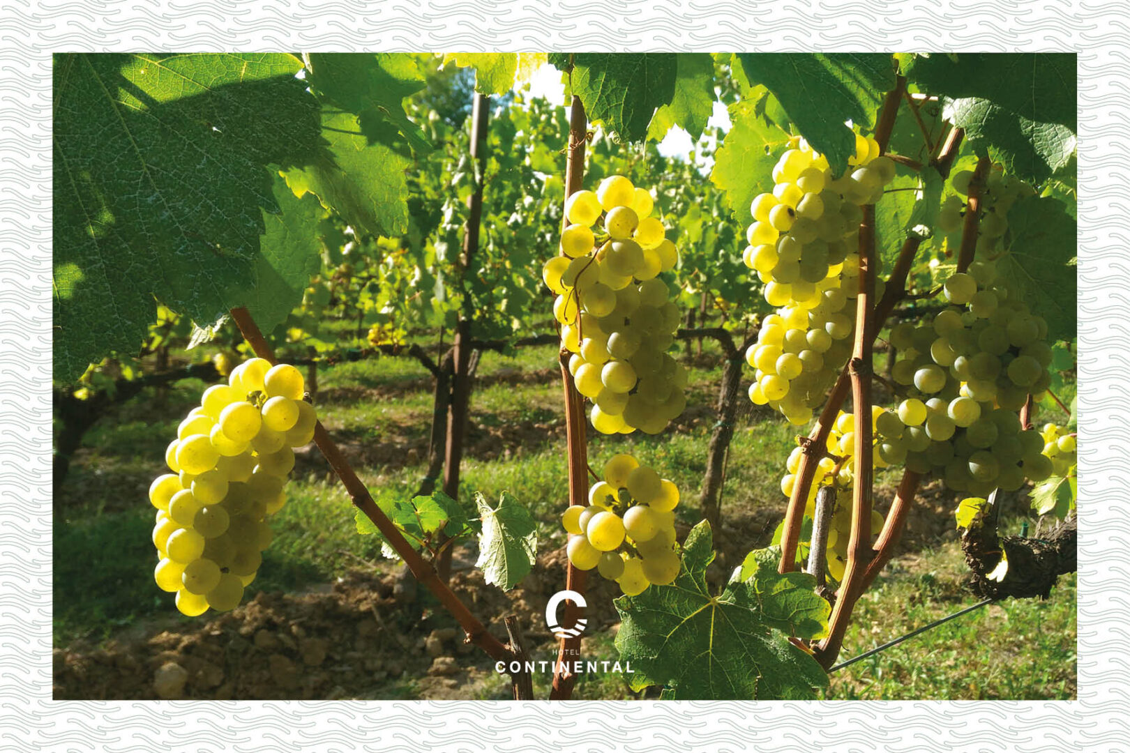 Alla scoperta dei sapori del Lago d’Iseo. Un viaggio enogastronomico tra formaggi, vini, pesce e dolci tipici.