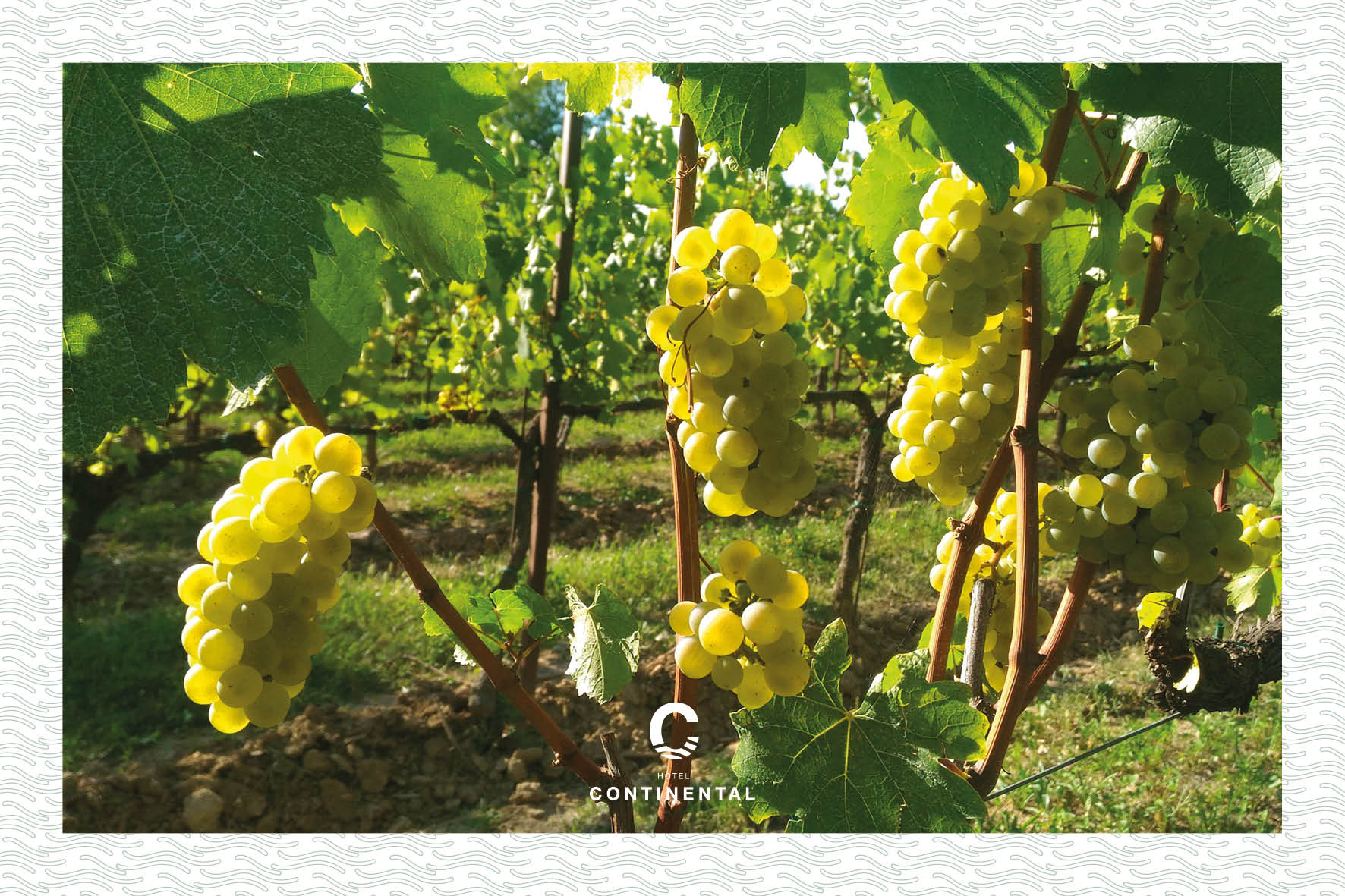 Alla scoperta dei sapori del Lago d'Iseo. Un viaggio enogastronomico tra formaggi, vini, pesce e dolci tipici. Hotel Continental Lovere